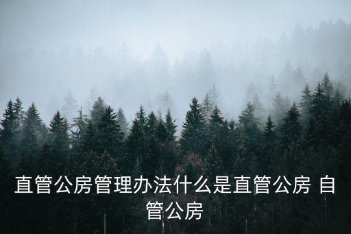 上海市直管公房管理政策，直管公房管理辦法什么是直管公房 自管公房
