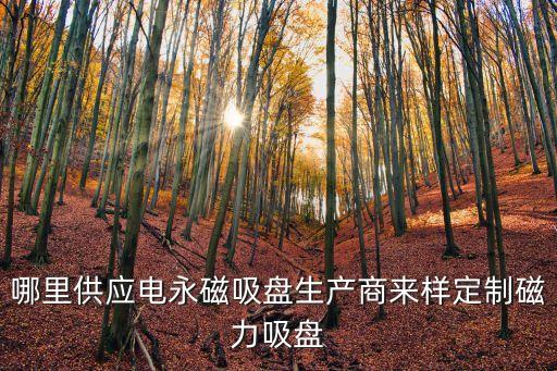 上海市永磁超強吸盤廠家，哪里供應電永磁吸盤生產商來樣定制磁力吸盤