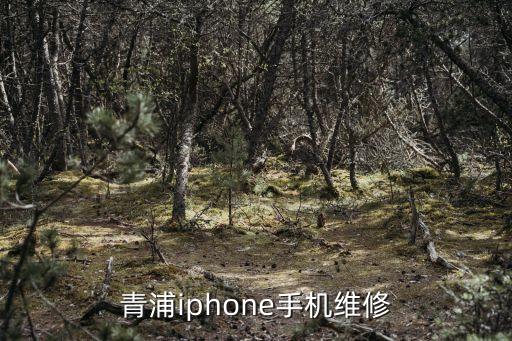 上海市青浦華新蘋果維修電話號碼，青浦iphone手機維修
