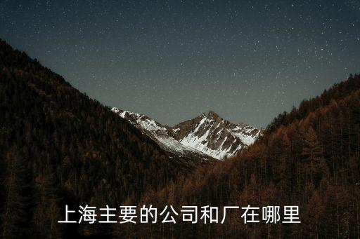 上海市公司的具體地址，上海主要的公司和廠在哪里