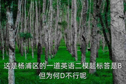 上海市楊浦區(qū)2018高三英語二模，這是楊浦區(qū)的一道英語二模題標答是B但為何D不行呢