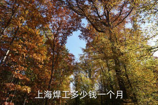 上海市中級焊工工資多少錢，上海焊工多少錢一個月