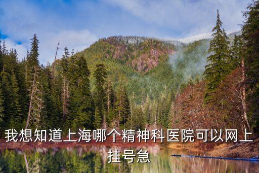 上海市精神掛號，我想知道上海哪個精神科醫院可以網上掛號急