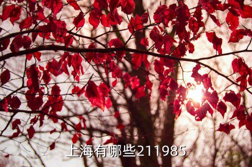 上海市 211 985 大學，上海有哪些211985