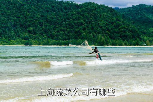 上海市配送蔬菜公司，上海蔬菜公司有哪些