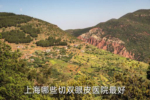 上海市好的割雙眼皮醫(yī)院是哪里，上海哪些切雙眼皮醫(yī)院最好