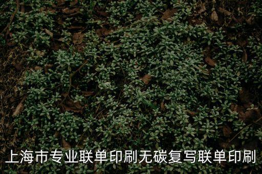 上海市 印刷，上海市專業(yè)聯(lián)單印刷無碳復(fù)寫聯(lián)單印刷