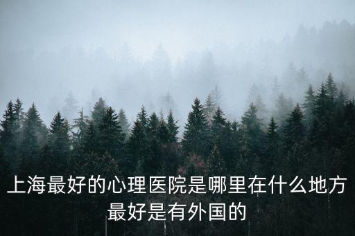 上海市教科院 心理健康，上海最好的心理醫院是哪里在什么地方最好是有外國的