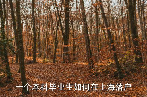 上海市本科落戶條件，一個(gè)本科畢業(yè)生如何在上海落戶