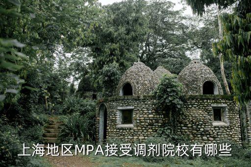 上海市公布調劑信息院校，上海地區MPA接受調劑院校有哪些