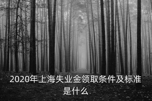 上海市失業保險政策創新，2020年上海失業金領取條件及標準是什么