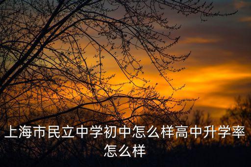 上海市民立中學  初中，上海市民立中學初中怎么樣高中升學率怎么樣