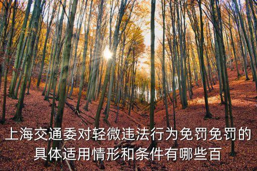 上海市交通委執法，上海交通委對輕微違法行為免罰免罰的具體適用情形和條件有哪些百