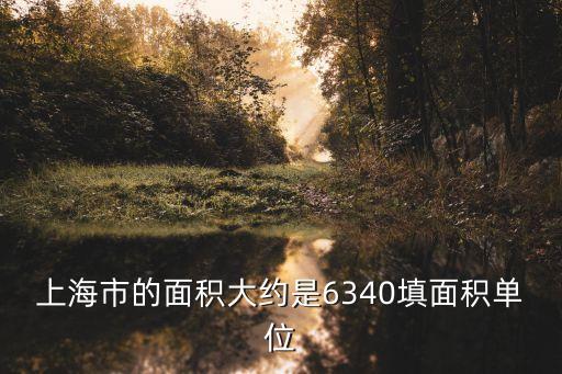 上海市的面積約6340平方什么，上海市的面積大約是6340填面積單位