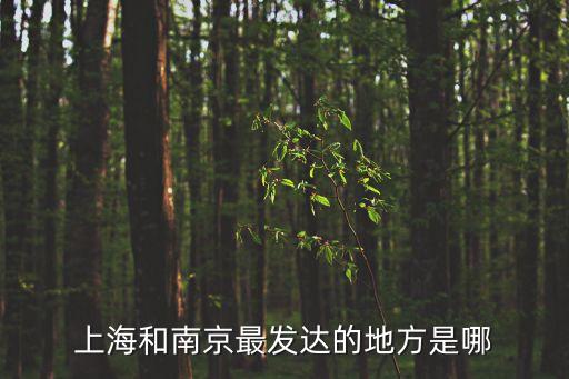 1912年的上海市長，上海和南京最發(fā)達的地方是哪