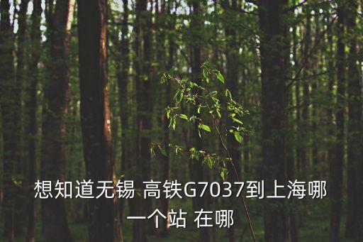 無錫 上海市高鐵站，想知道無錫 高鐵G7037到上海哪一個(gè)站 在哪