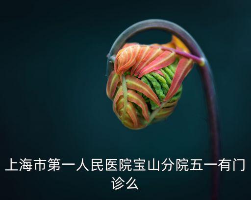 上海市第一人民醫(yī)院 五一放假，上海市第一人民醫(yī)院寶山分院五一有門(mén)診么
