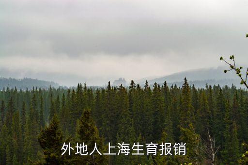 上海市異地分娩報銷，外地人上海生育報銷