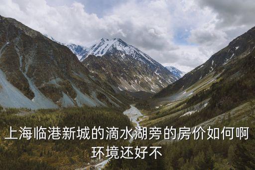 上海市臨港房價是多少，上海臨港新城的滴水湖旁的房價如何啊環境還好不