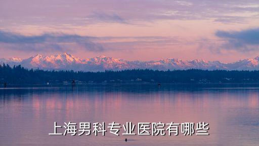 上海市男性科的，上海男科專業醫院有哪些