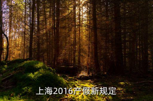 上海市2016產假新規定，上海2016產假新規定