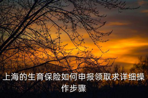 上海市生育保障金如何申請，上海的生育保險如何申報領取求詳細操作步驟