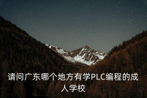 請問廣東哪個(gè)地方有學(xué)PLC編程的成人學(xué)校