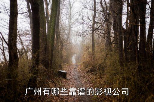 廣州有哪些靠譜的影視公司