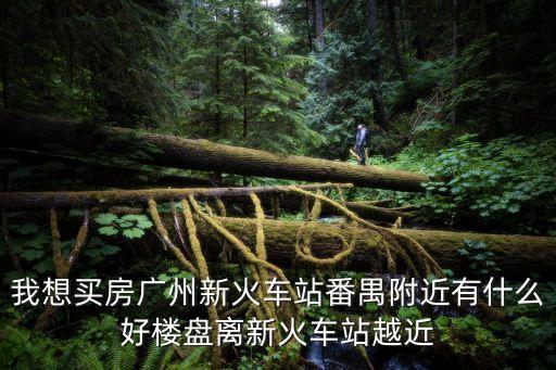 我想買房廣州新火車站番禺附近有什么好樓盤離新火車站越近