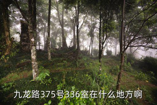 廣州九龍區(qū)澳洲山莊，九龍路375號336室在什么地方啊