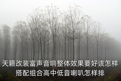 天籟改裝富聲音響整體效果要好該怎樣搭配組合高中低音喇叭怎樣排