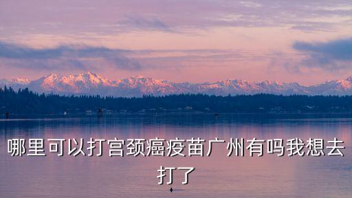 哪里可以打宮頸癌疫苗廣州有嗎我想去打了