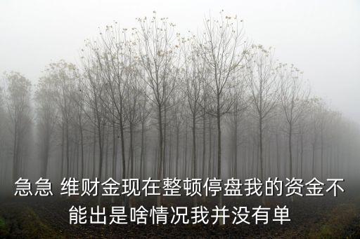 急急 維財(cái)金現(xiàn)在整頓停盤(pán)我的資金不能出是啥情況我并沒(méi)有單