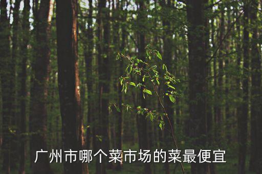 廣州市哪個菜市場的菜最便宜