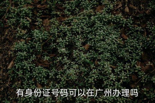 有身份證號碼可以在廣州辦理嗎