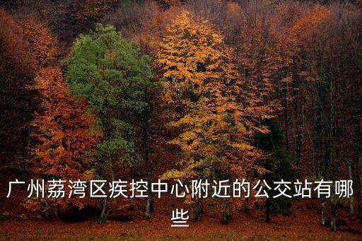 廣州荔灣區(qū)疾控中心附近的公交站有哪些