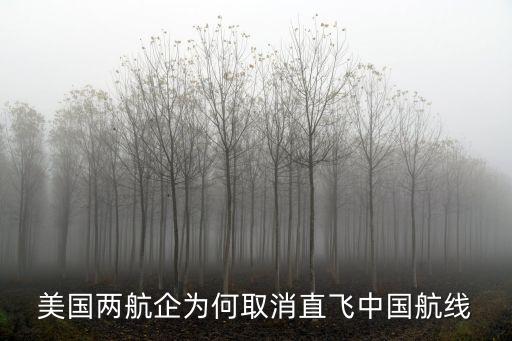 美國兩航企為何取消直飛中國航線