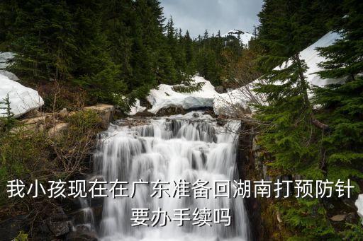 在廣州能回老家打疫苗嗎，我小孩現在在廣東準備回湖南打預防針要辦手續嗎