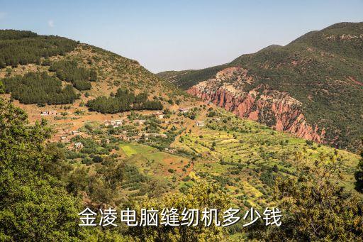 廣州金凌牌縫紉機，Kingtex三針五線縫紉機是什么牌的國產機器大約多少錢一臺