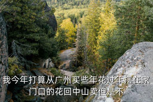 廣州年花零售點，廣州最大的年花卉盆栽批發市場位于哪里