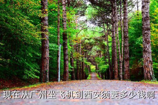 廣州6月回西安市最新規定，6月3日廣州飛西安航班晚點原因