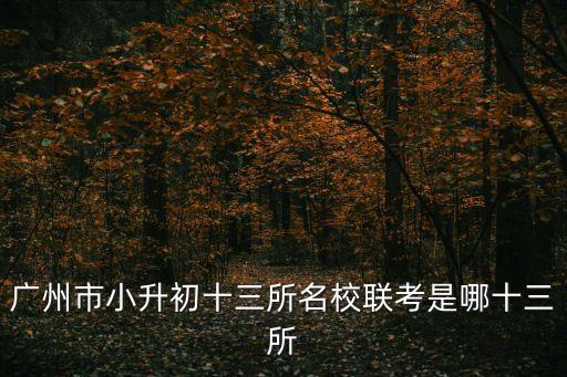 廣州市小升初十三所名校聯考是哪十三所