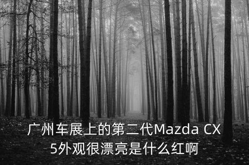 廣州車展上的第二代Mazda CX5外觀很漂亮是什么紅啊