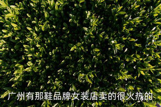 廣州有那鞋品牌女裝店賣的很火熱的