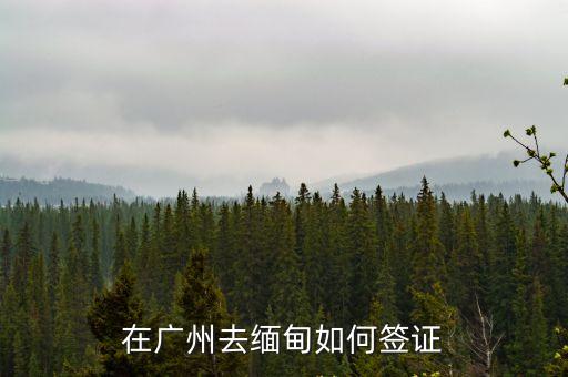 廣州 緬甸旅游，在廣州去緬甸如何簽證