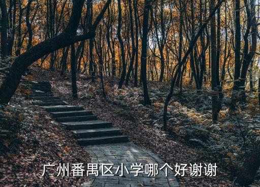 廣州番禺奧園小學怎么樣，廣州番禺區小學哪個好謝謝