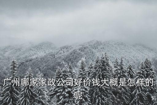 廣州哪家家政公司好價(jià)錢大概是怎樣的呢