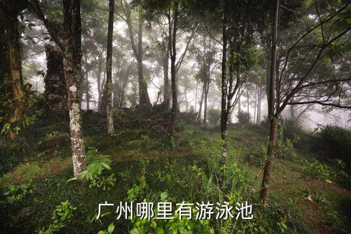 廣州太陽能泳池七彩燈，廣州市哪里做專業水療泳池桑拿工程的
