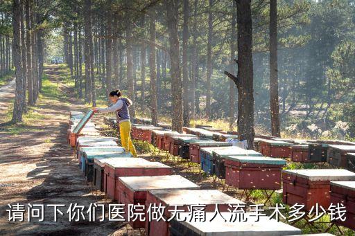 請問下你們醫(yī)院做無痛人流手術多少錢