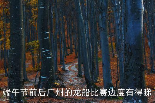 端午節前后廣州的龍船比賽邊度有得睇